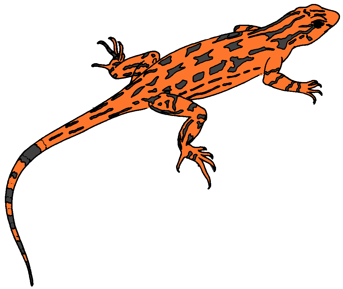 1124x947 Lizard Clipart 2 2