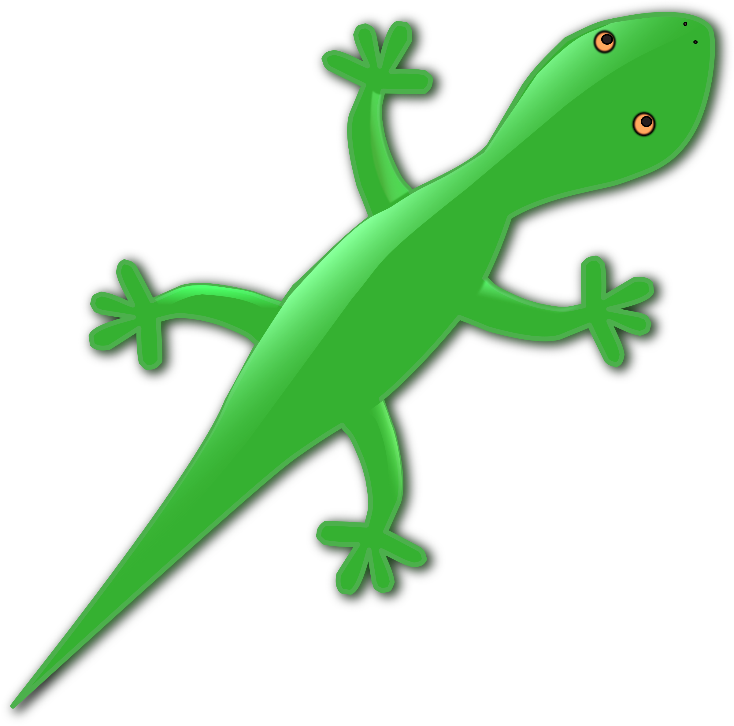 2400x2375 Lizard Clipart Transparent