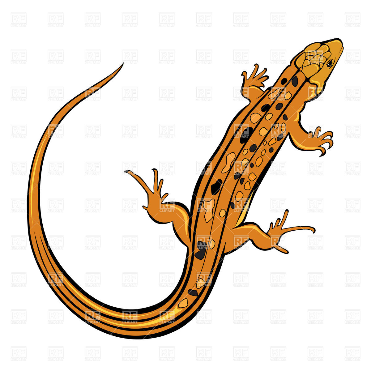 1200x1200 Orange Gecko Lizard Royalty Free Vector Clip Art Image