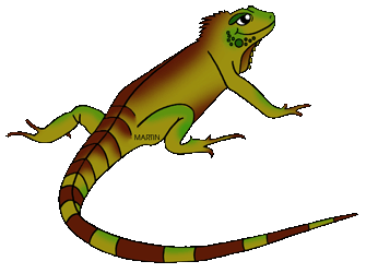 346x250 Clipart Lizard Clipart