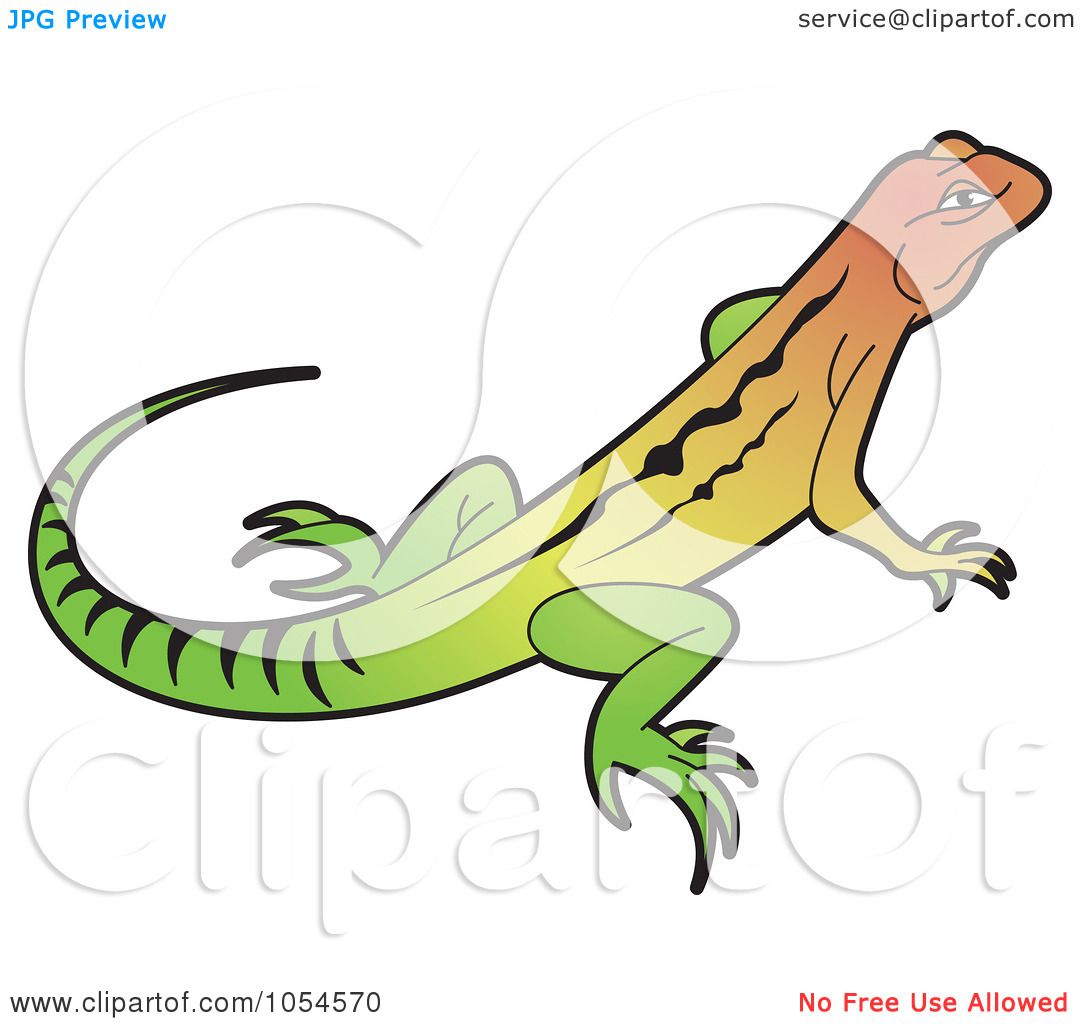 1080x1024 Royalty Free Vector Clip Art Illustration Of A Colorful Lizard By
