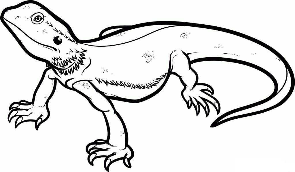 Lizard Clipart Black And White | Free download on ClipArtMag