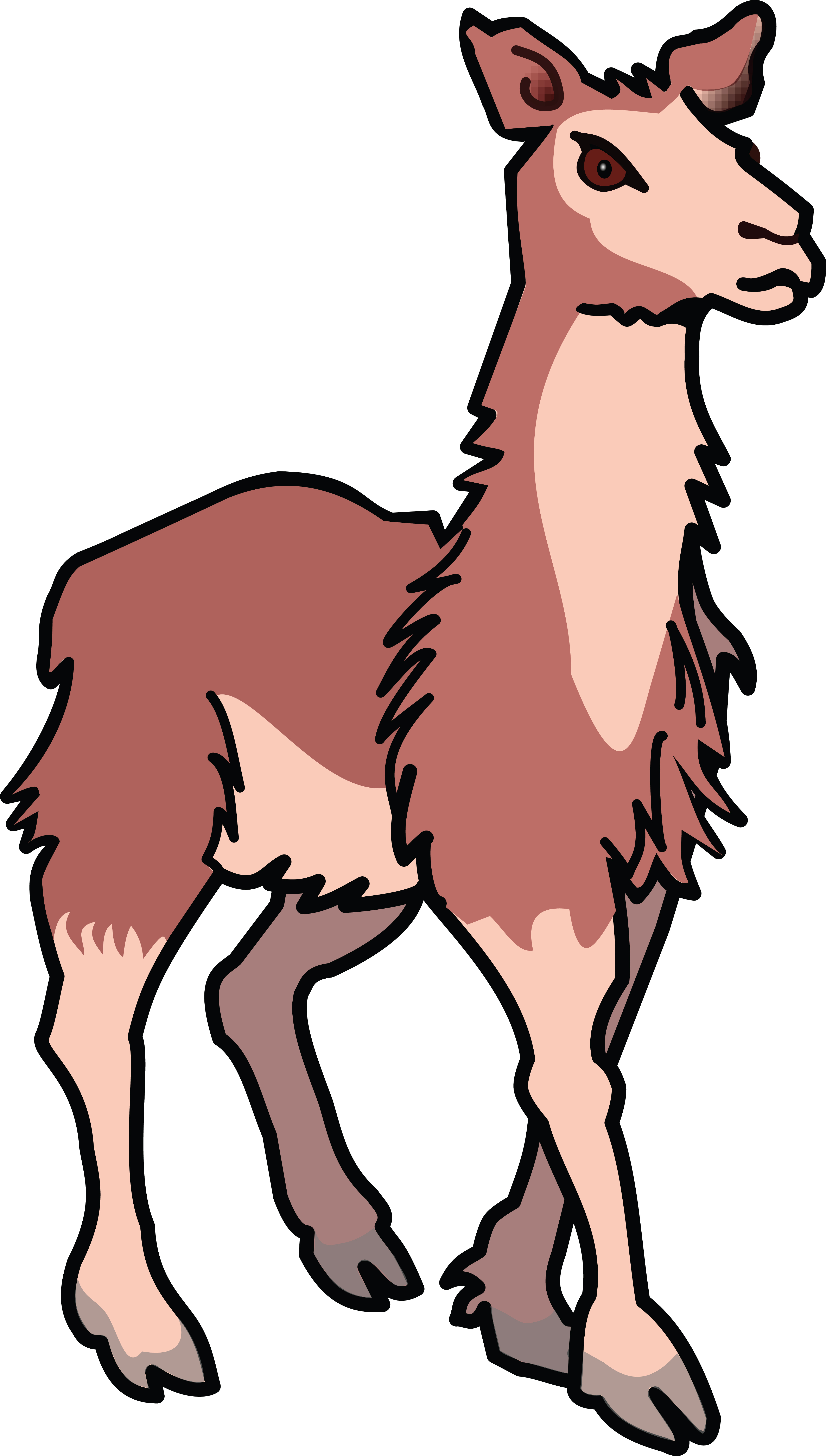 4000x7051 Clipart Of A Llama