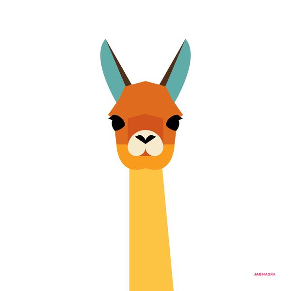 600x600 Face Clipart Llama