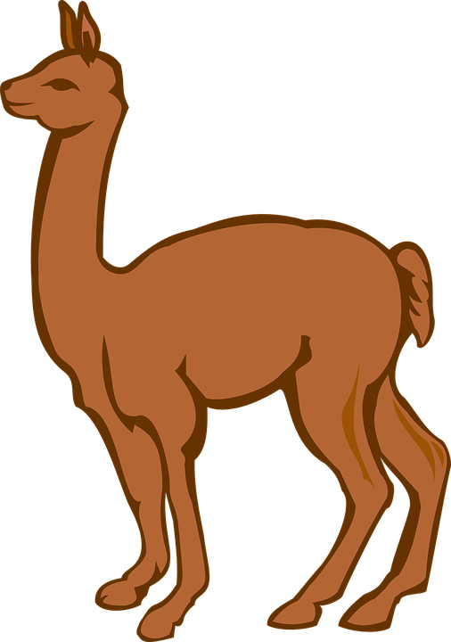 506x720 Llama Clipart Brown