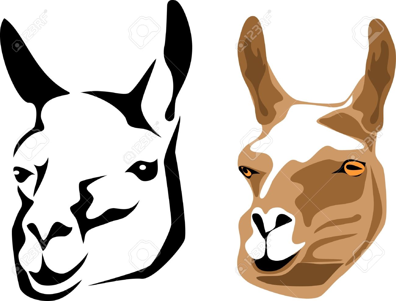 1300x988 Llama Clipart Head
