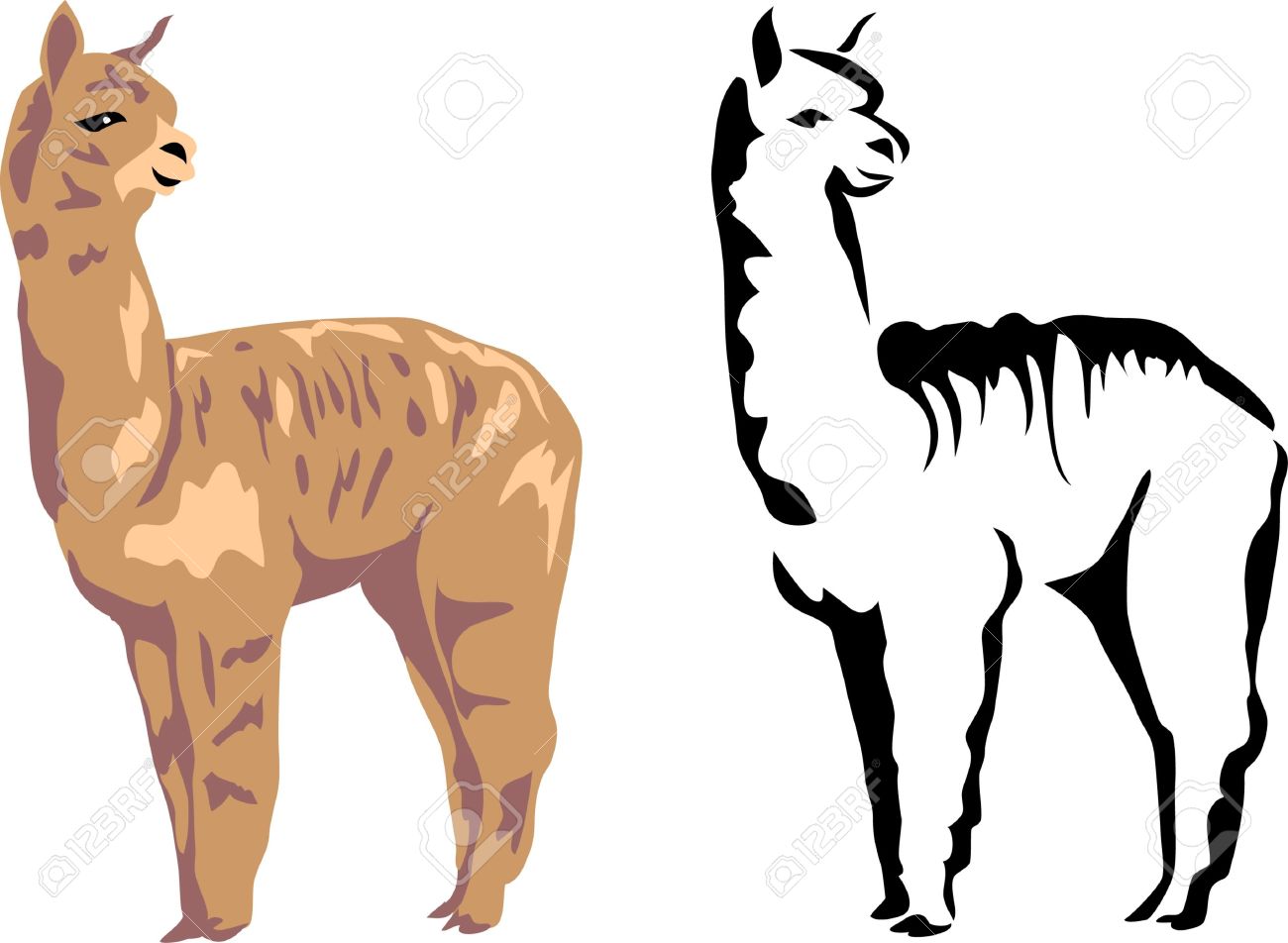 1300x952 Lama Clipart Baby Llama