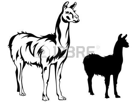 450x345 Llama Royalty Free Cliparts, Vectors, And Stock Illustration