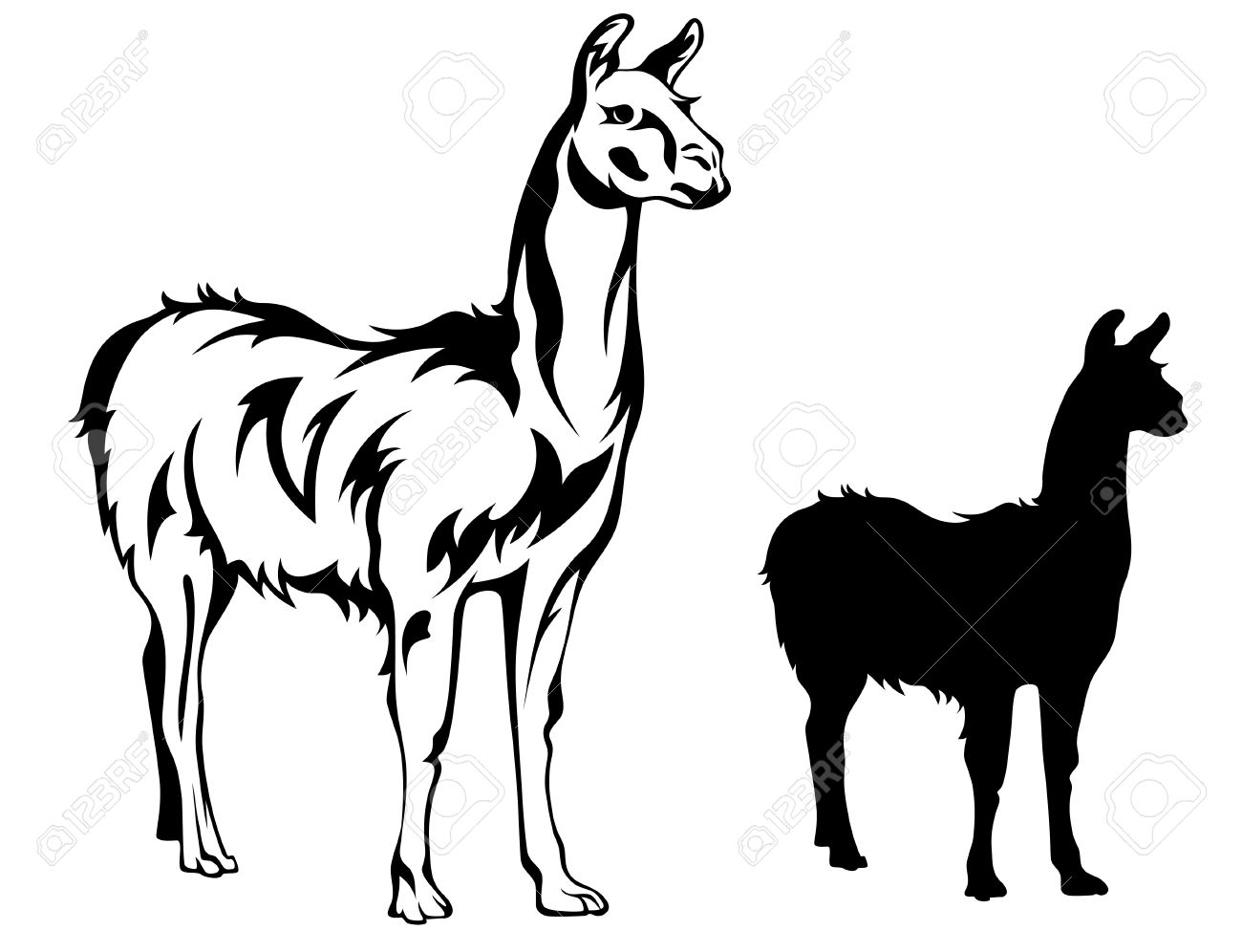 1300x996 Llama Vector Illustration Royalty Free Cliparts, Vectors,