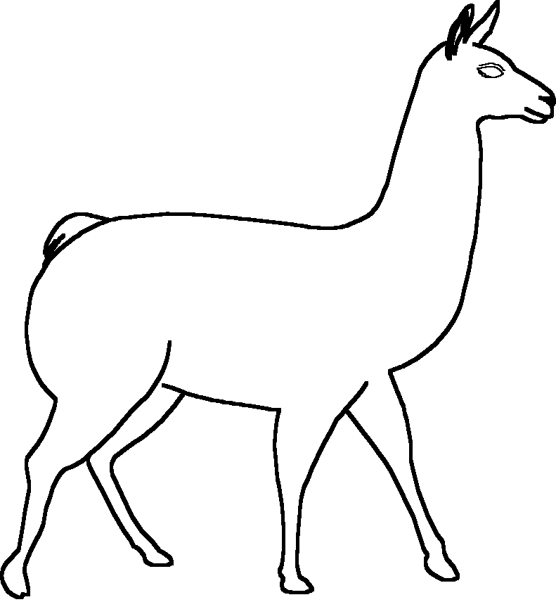 791x856 Llama Animal
