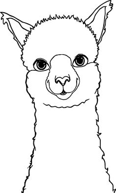236x392 Alpacas ^ ^ A Window To My Soul Alpacas