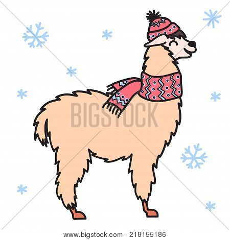 450x470 Alpaca Images, Illustrations, Vectors