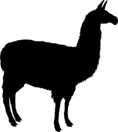 236x264 Llama Animal