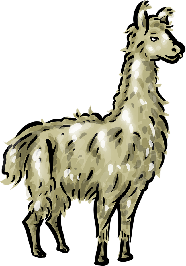 649x931 Llama Clipart Cartoon Pencil And In Color Llama 2