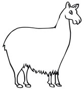 166x176 Llama Coloring Pages Free Coloring Pages