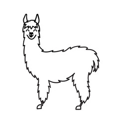 240x240 Search Photos Llama