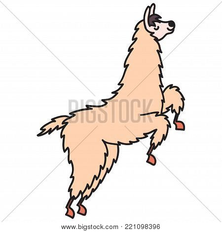 450x470 South America Images, Illustrations, Vectors