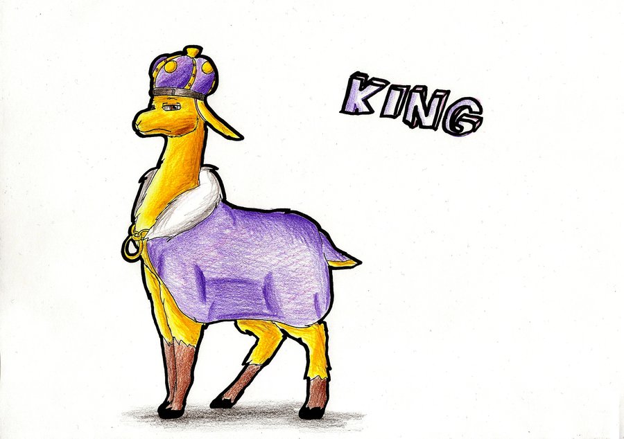 900x634 King Llama By Icelectricspyro