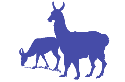 405x264 Lama Newsletter