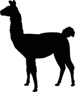 147x180 Search Results For Llama