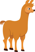 135x200 Search Results For Llamas