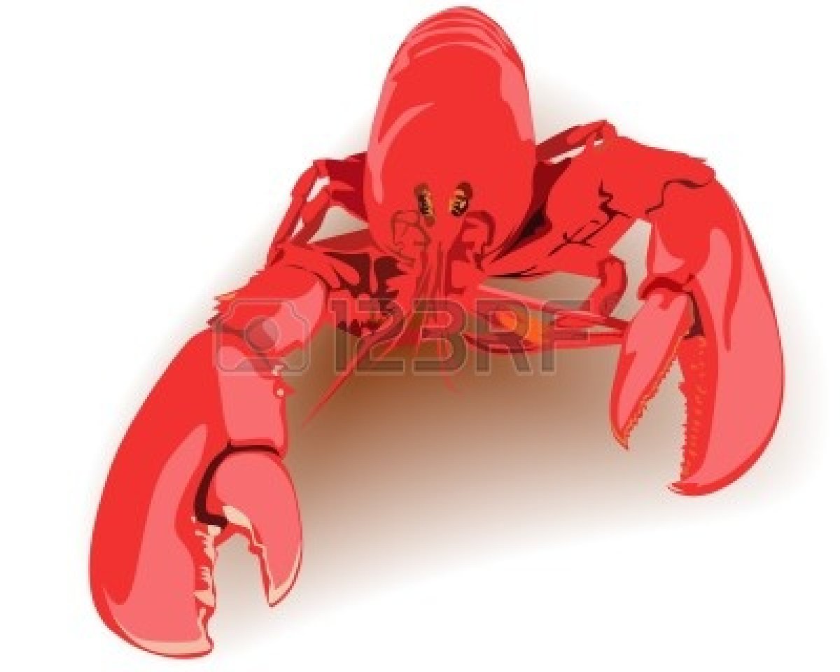 1200x960 Lobster Claw Clip Chadholtz