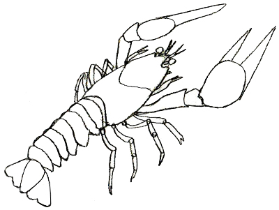 400x301 Lobster Outline Clipart Cliparts And Others Art Inspiration 2