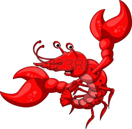 450x440 Shrimp Cartoon Royalty Free Cliparts, Vectors, And Stock