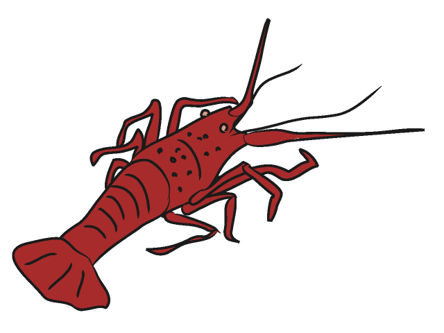 640x480 Lobster Clip Art Animal Clipart Cliparts For You