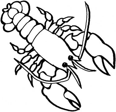 373x360 Lobster Outline 3