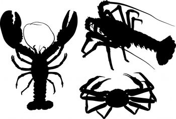 350x236 Animal Kingdom Clipart Black And White