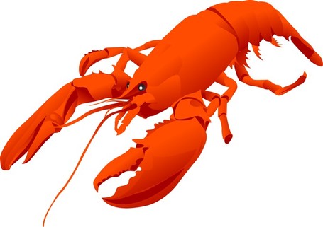 455x321 Lobster Clip Art Vector Lobster Graphics Image