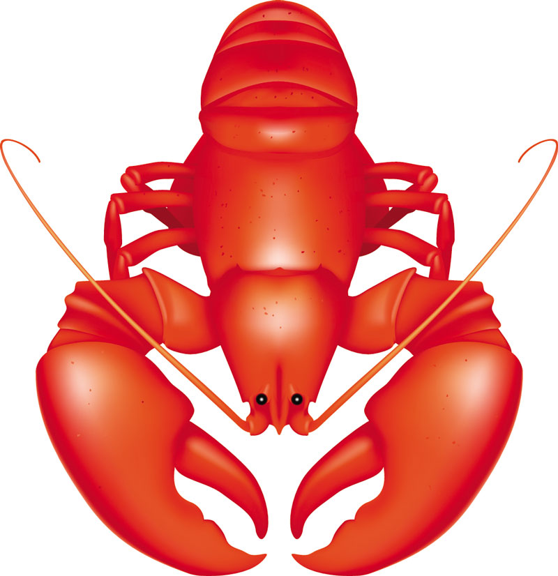 800x826 Lobster Clipart 7