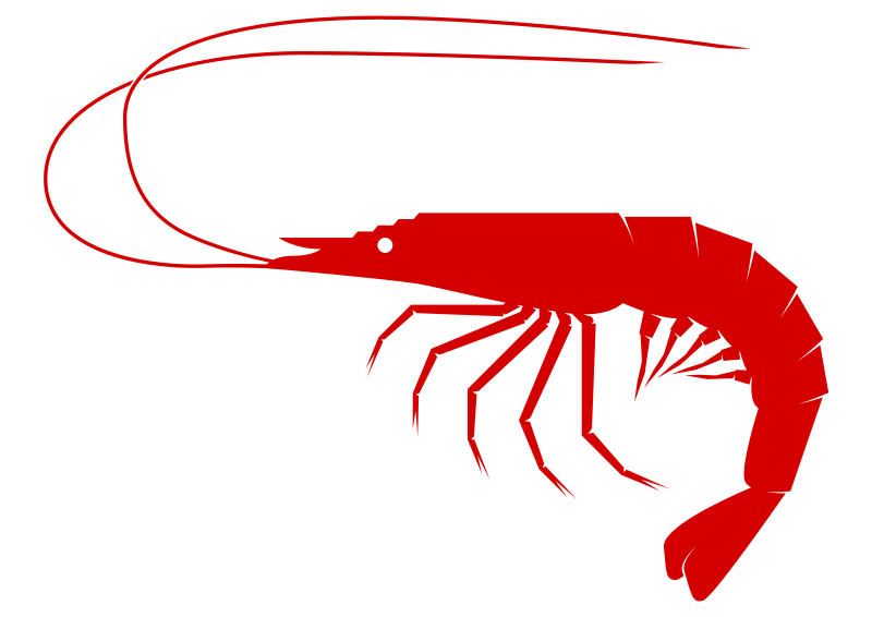 800x566 Lobster Clipart Shrimp