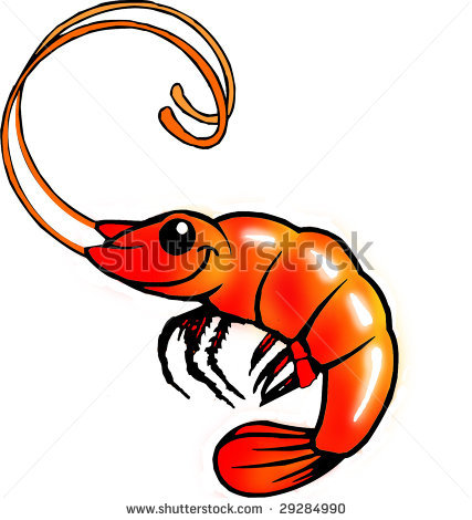 427x470 Shrimp Clipart