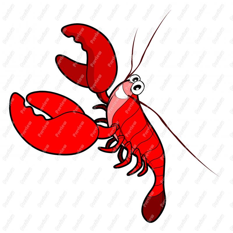 800x798 Free Lobster Clipart Image