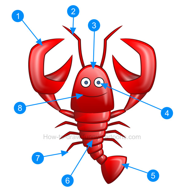 600x636 How To Create A Beautiful Lobster Drawing