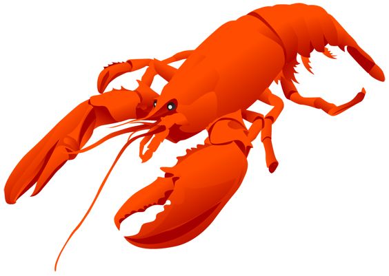 564x401 Lobster Png Animal Png Animal