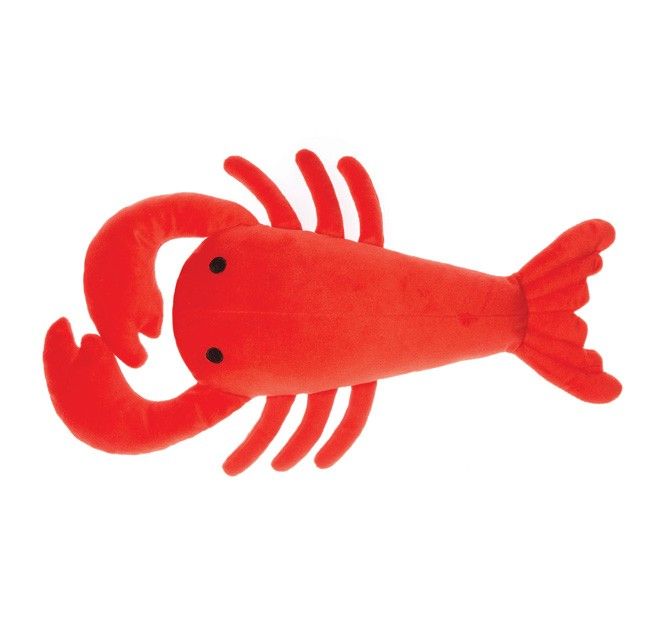 660x620 Best Rock Lobster Ideas Corgi Costume, Lobster