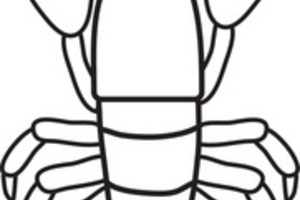 300x200 Lobster Clipart Outline