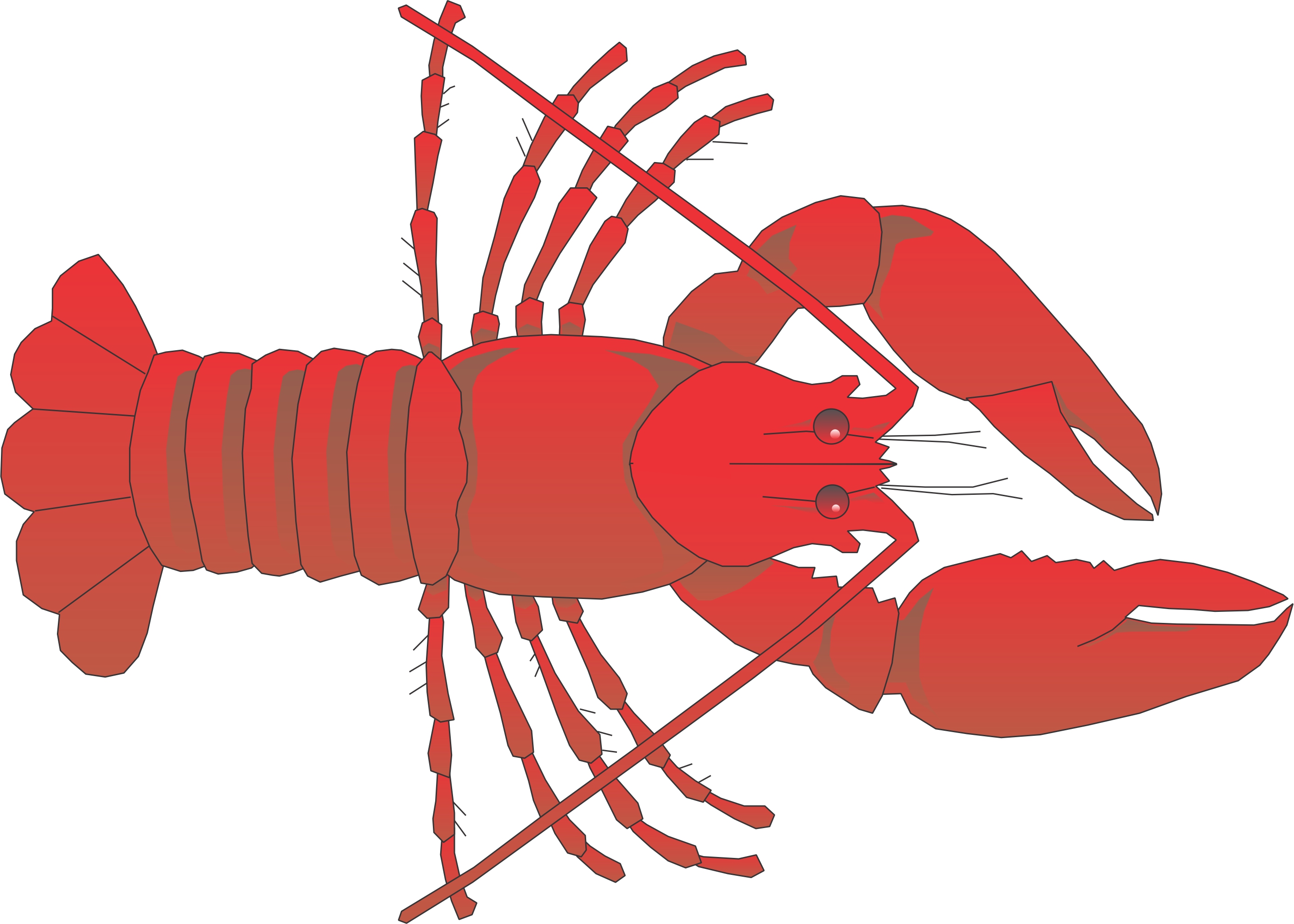 2819x2013 Lobster Outline Clipart 4