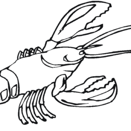 Lobster Outline | Free download on ClipArtMag