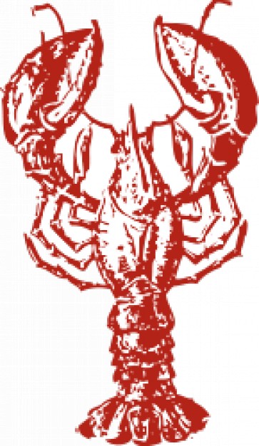363x626 Red Lobster Outline In Top View Download Free Animal Vectors