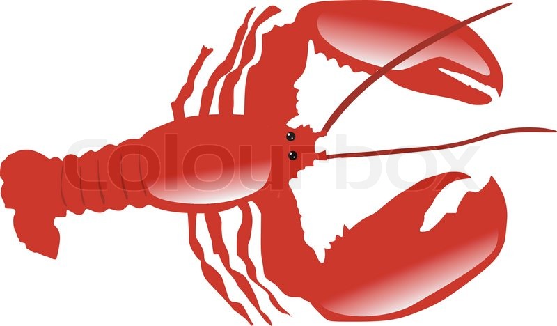 800x468 Lobster Silhouette Stock Vector Colourbox