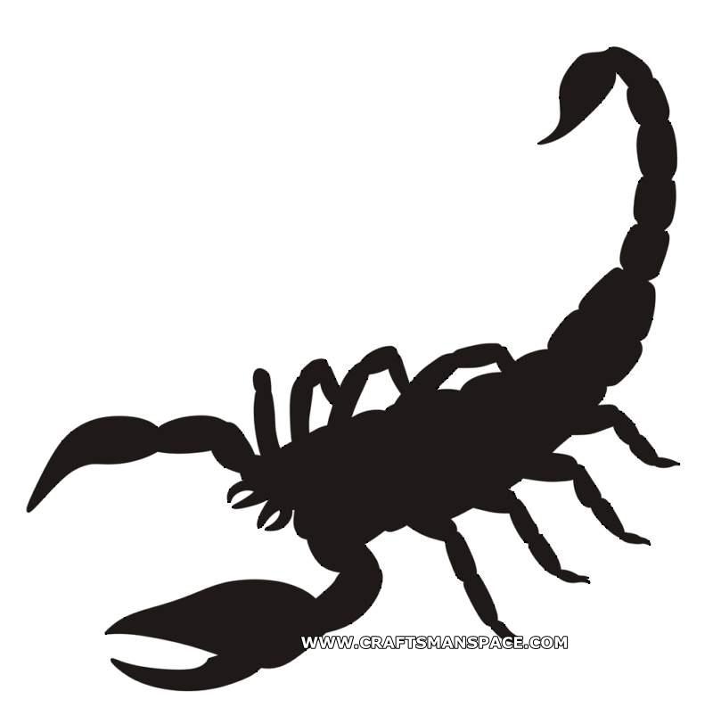 800x812 Scorpion Vector Silhouette