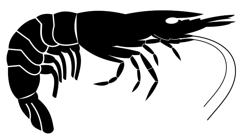 1000x564 Seafood Vinyl Wall Decal Lobster Giant Shrimp Silhouette Mural Art