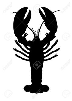 236x334 Car Window Vinyl Decal Sticker Creole Louisiana Crawfish Binder
