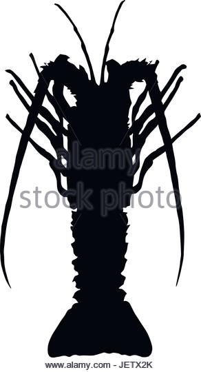 292x540 Crawfish Silhouette Stock Photos Amp Crawfish Silhouette Stock