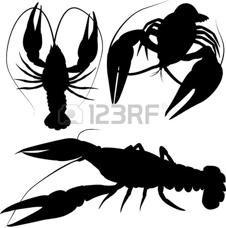446x450 Crawfish Silhouettes, Black Crayfish Isolated On White Royalty