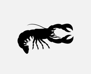 300x246 Crayfish Vector Silhouette Illustration Royalty Free Stock Image